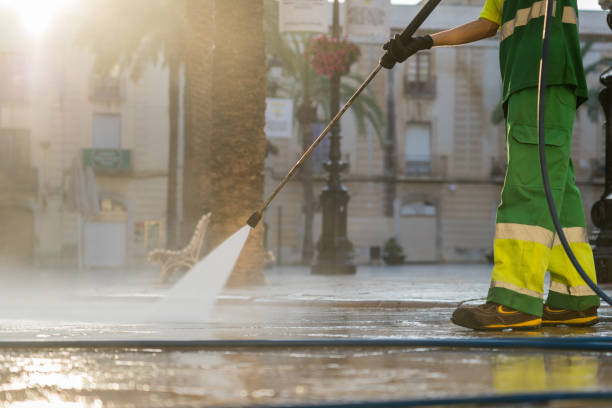 Best Roof Washing  in Dunedin, FL